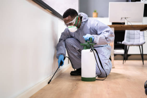 Real Estate Pest Inspections in Mammoth, AZ